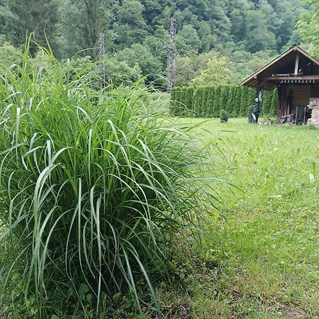 Kamp Na Uni * Ivisovo Greblje